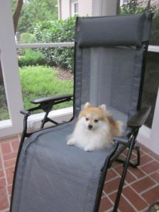 waiting on the porch