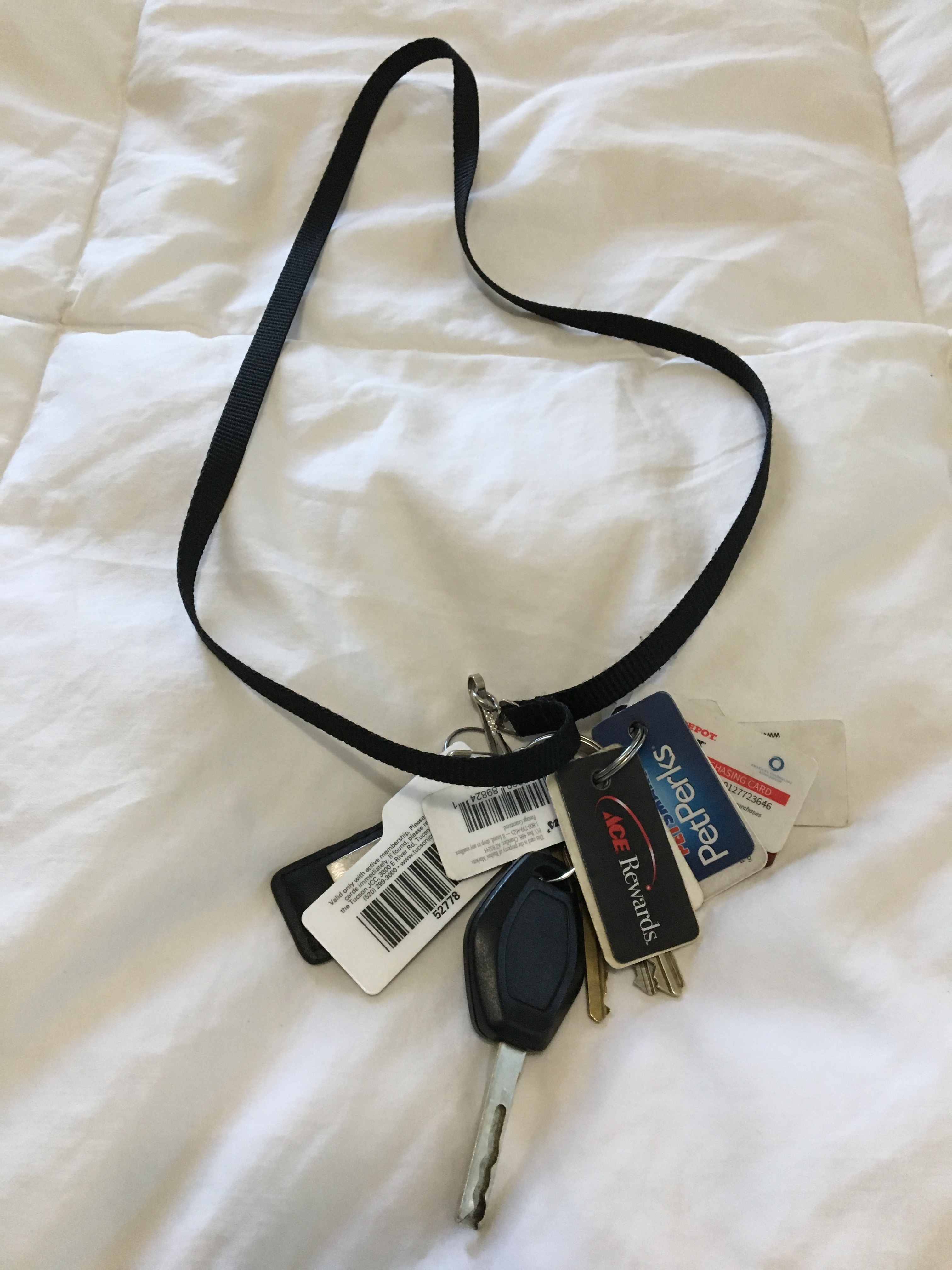 lanyard
